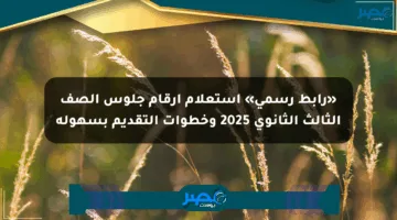 «رابط رسمي» استعلام أرقام جلوس الصف الثالث الثانوي 2025 وخطوات التقديم بسهولة